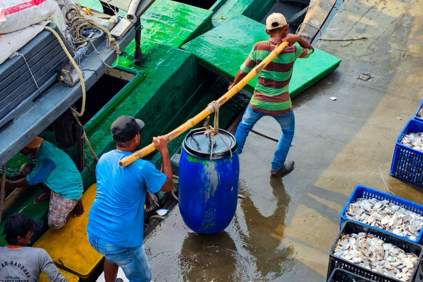 Fishermen at a harbour transferring their catch from boats into crates